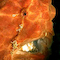 Frogfish Photo